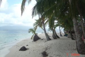 29304_398997550917_5975313_n